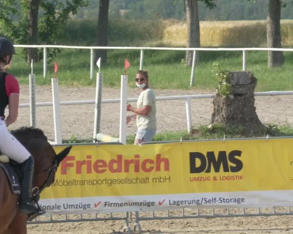 Reitturnier Biebesheim 2021