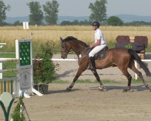 Reitturnier Biebesheim 2021