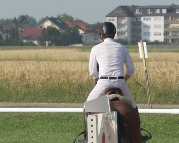 Reitturnier Biebesheim 2021
