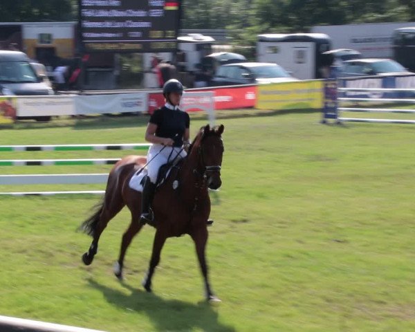 Reitturnier Nienburg 2021