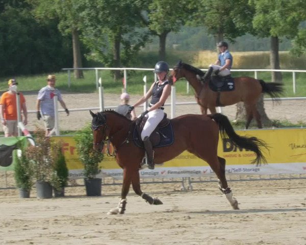 Reitturnier Biebesheim 2021