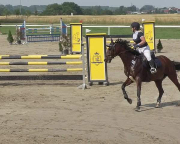 Reitturnier Biebesheim 2021