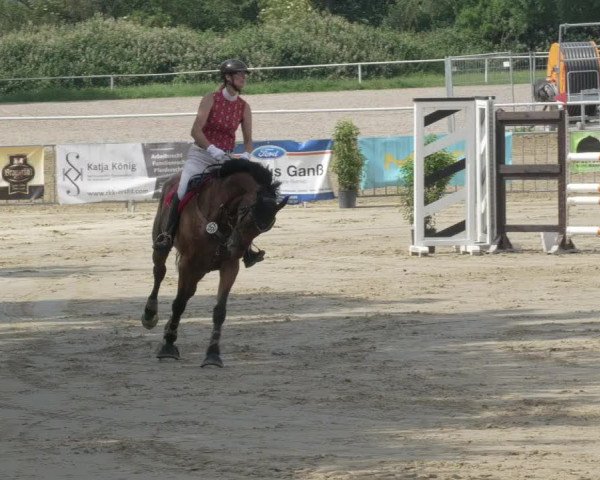 Reitturnier Biebesheim 2021