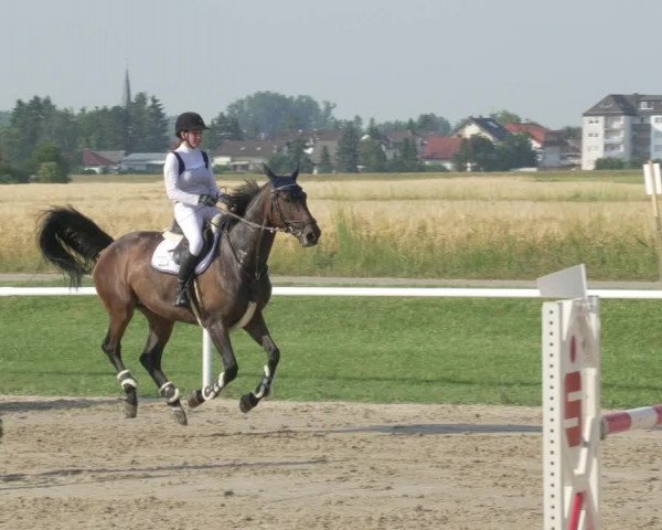 Reitturnier Biebesheim 2021