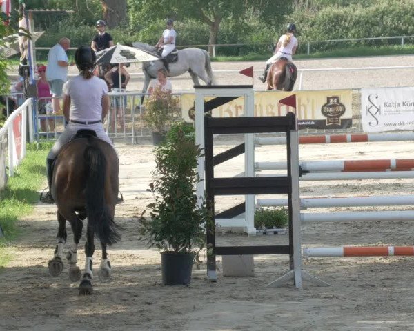 Reitturnier Biebesheim 2021