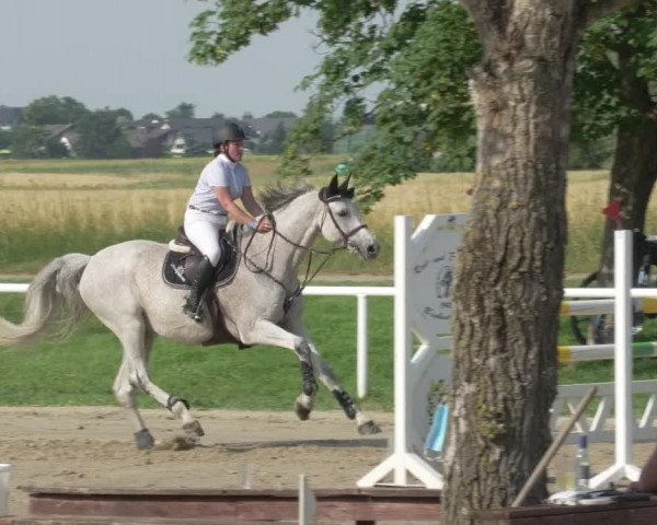 Reitturnier Biebesheim 2021