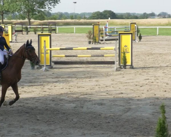 Reitturnier Biebesheim 2021