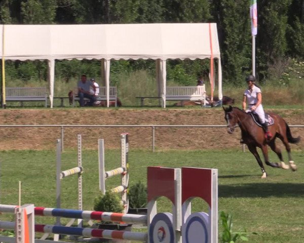 Reitturnier Reitstadion Löbnitz 2021