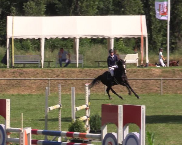 Reitturnier Reitstadion Löbnitz 2021
