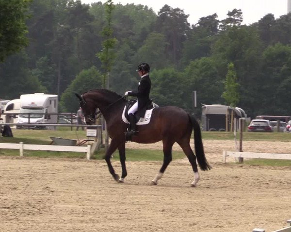 Reitturnier Coesfeld/Lette 2021