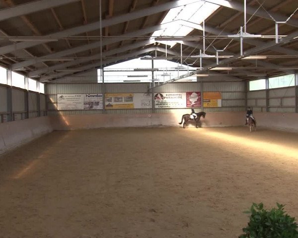 Reitturnier Bad Windsheim/Mfr. 2021