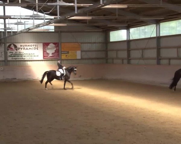 Reitturnier Bad Windsheim/Mfr. 2021