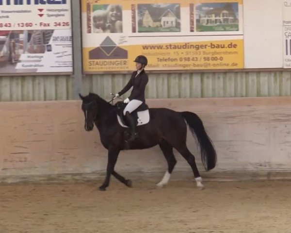 Reitturnier Bad Windsheim/Mfr. 2021