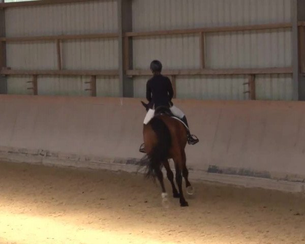 Reitturnier Bad Windsheim/Mfr. 2021