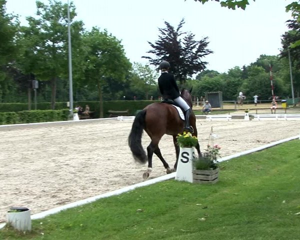 Reitturnier Fröndenberg 2021