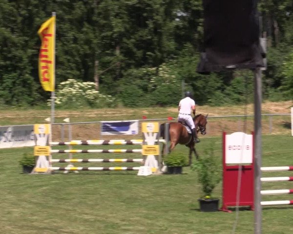 Reitturnier Reitstadion Löbnitz 2021