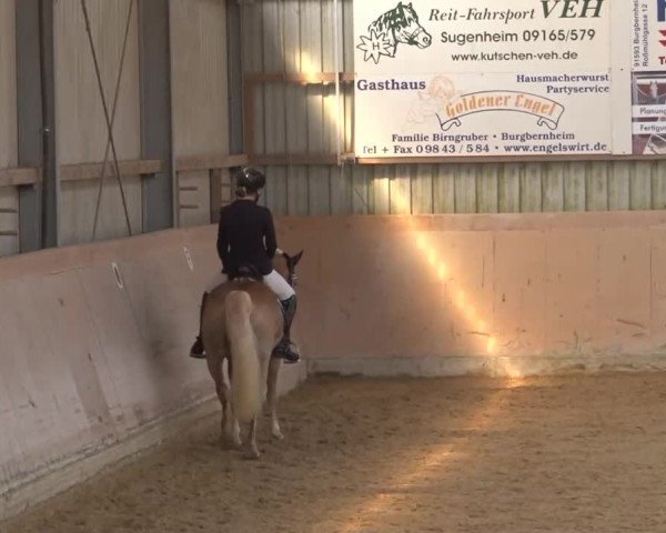Reitturnier Bad Windsheim/Mfr. 2021