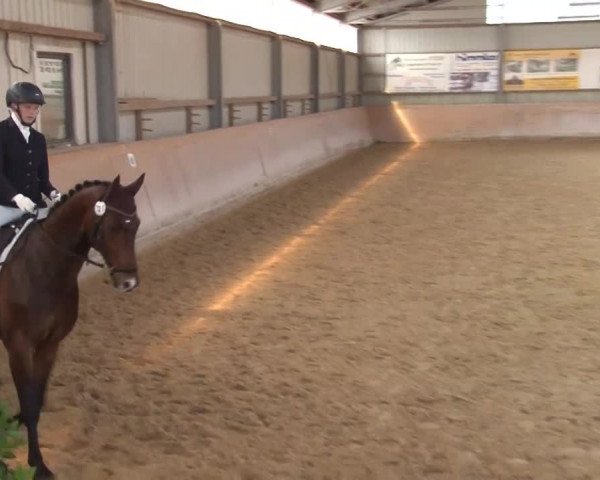 Reitturnier Bad Windsheim/Mfr. 2021
