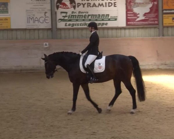 Reitturnier Bad Windsheim/Mfr. 2021