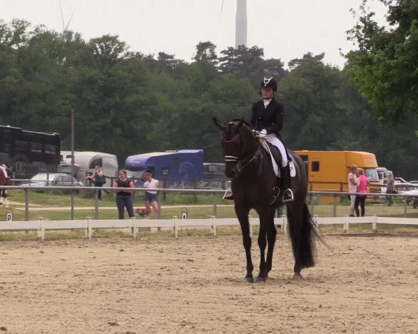 Reitturnier Coesfeld/Lette 2021
