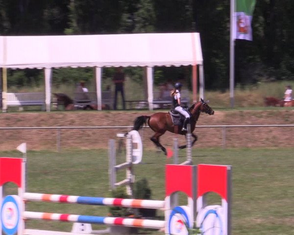 Reitturnier Reitstadion Löbnitz 2021