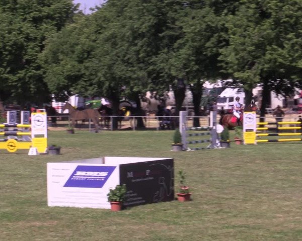Reitturnier Reitstadion Löbnitz 2021