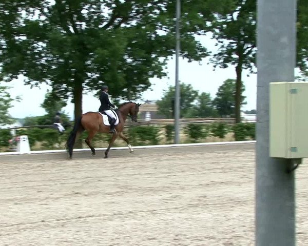 Reitturnier Fröndenberg 2021