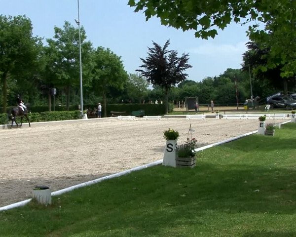 Reitturnier Fröndenberg 2021