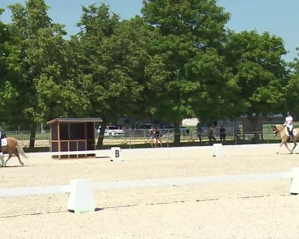 Reitturnier Rot am See- Musdorf 2021