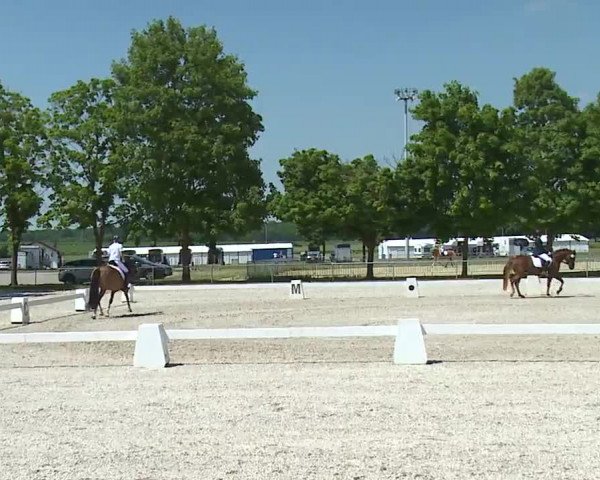 Reitturnier Rot am See- Musdorf 2021