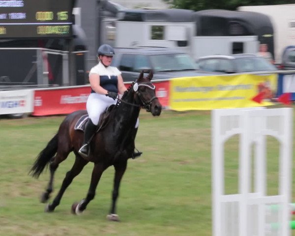 Reitturnier Nienburg 2021