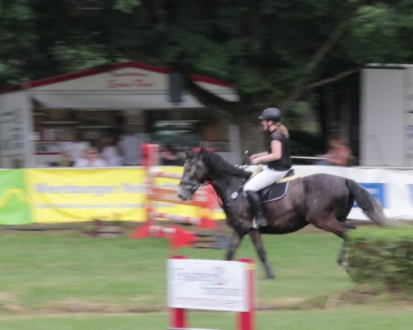 Reitturnier Nienburg 2021