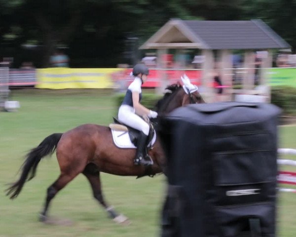 Reitturnier Nienburg 2021