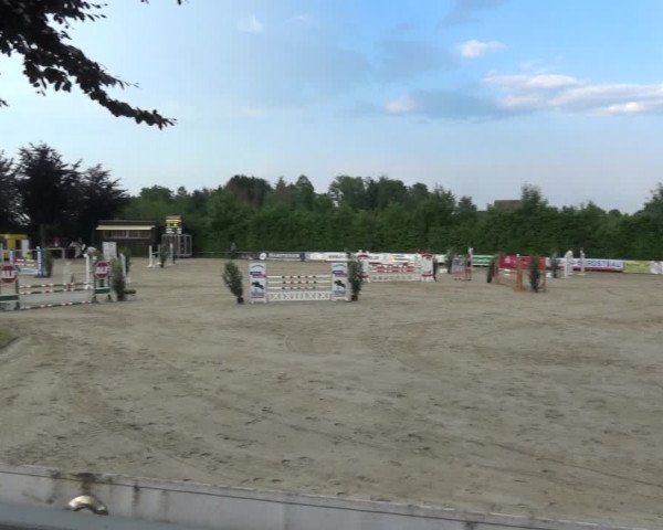 Reitturnier Fröndenberg 2021