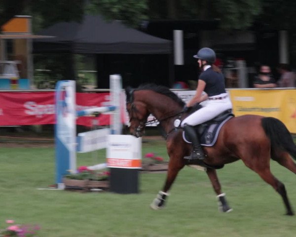 Reitturnier Nienburg 2021