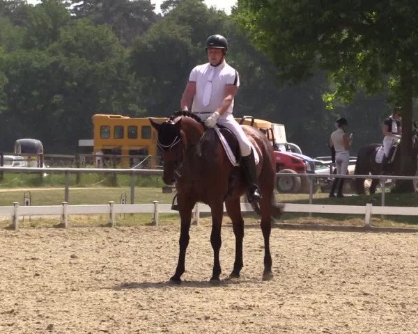 Reitturnier Coesfeld/Lette 2021