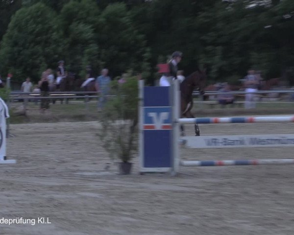 Reitturnier Coesfeld/Lette 2021
