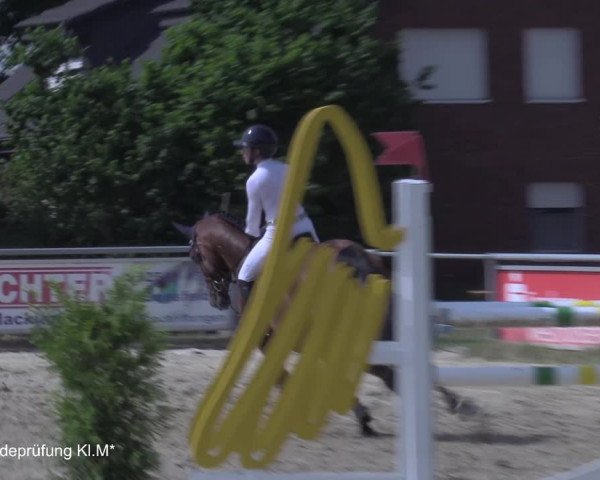 Reitturnier Coesfeld/Lette 2021