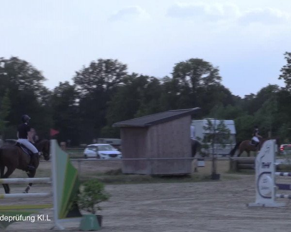 Reitturnier Coesfeld/Lette 2021
