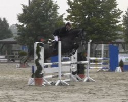 jumper Clooney St (Hanoverian, 2009, from Cassini II)