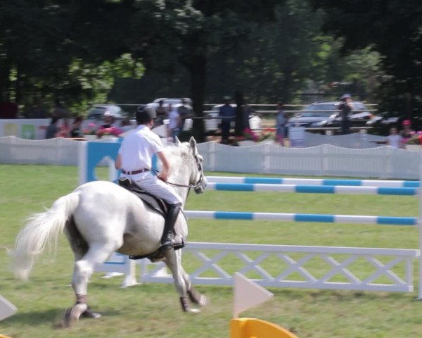 Reitturnier Nienburg 2021