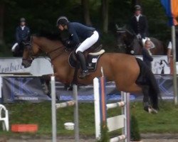 jumper Nevermind 9 (Holsteiner, 2007, from Nekton)