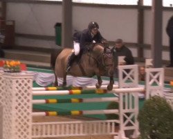 jumper Pina Colada 196 (Hanoverian, 2008, from Perigueux)