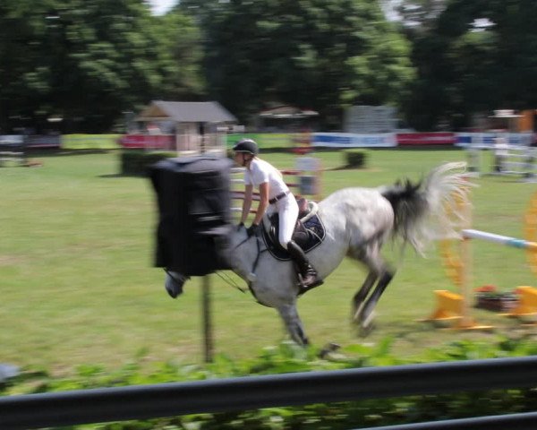 Reitturnier Nienburg 2021