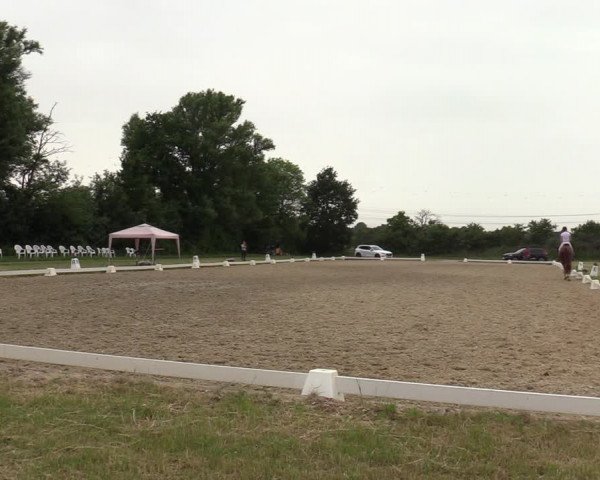 Reitturnier Münster-St. Georg 2021