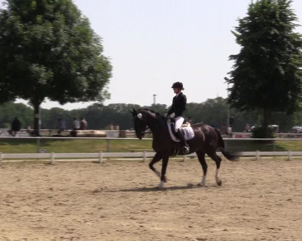 Reitturnier Coesfeld/Lette 2021