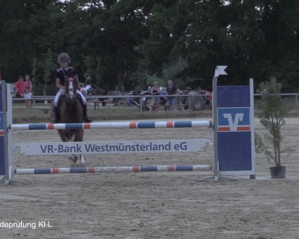 Reitturnier Coesfeld/Lette 2021
