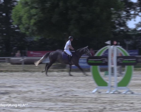 Reitturnier Coesfeld/Lette 2021