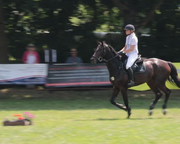 Reitturnier Nienburg 2021
