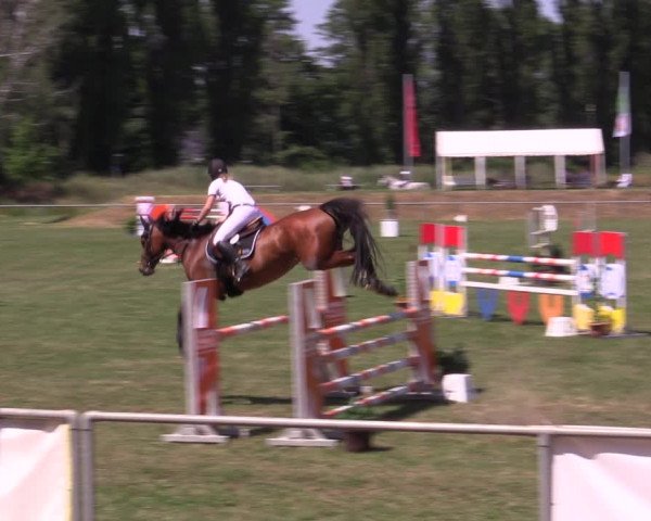 Reitturnier Reitstadion Löbnitz 2021